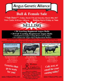 Rinkes flyer 2017